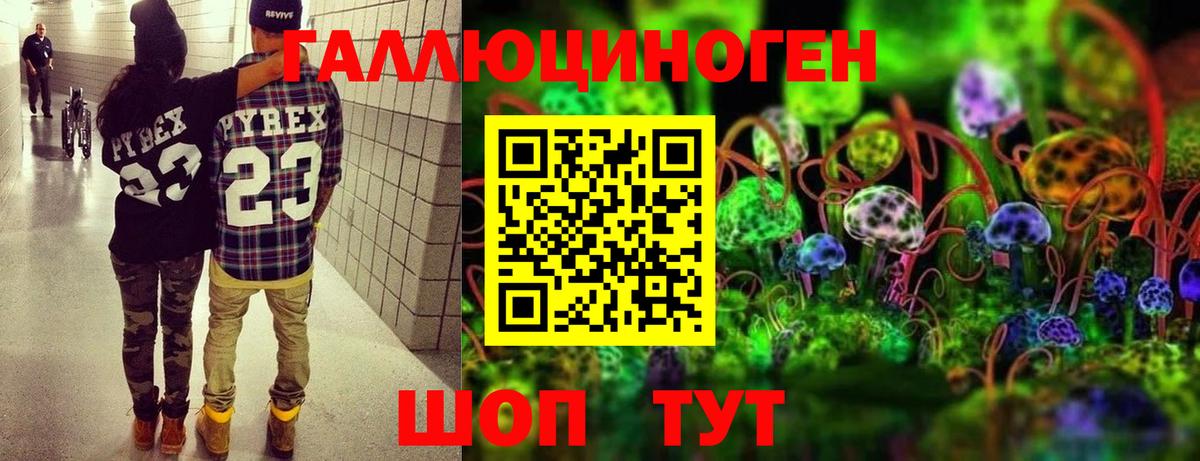 Ангарск  Псилоцибиновые грибы мухоморы  Вход с VPN 